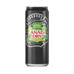 Canada Dry Club Soda Can 300ml