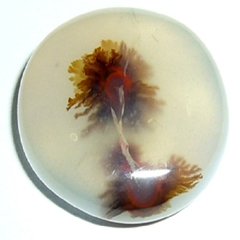 Dentritic Agate 5